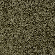 Ковролин Bonkeel Parliament Green фото 1 | FLOORDEALER